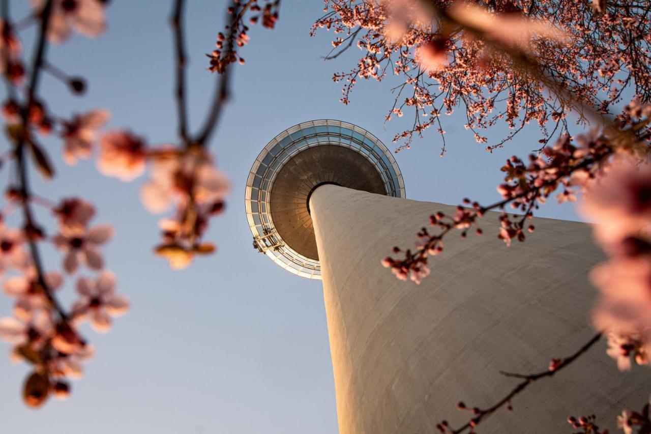 Hostel Mannheim Bagian luar foto The top of the tower